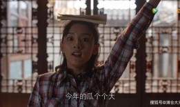 娱乐圈无脑吃瓜,无脑吃瓜，揭秘明星幕后故事