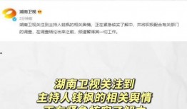 娱乐圈最新吃瓜文件,揭秘明星幕后故事与情感纠葛